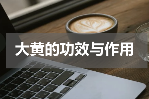 大黄的功效与作用