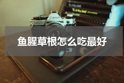 鱼腥草根怎么吃最好