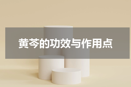 黄芩的功效与作用点