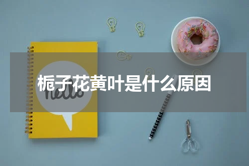 栀子花黄叶是什么原因