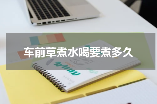 车前草煮水喝要煮多久