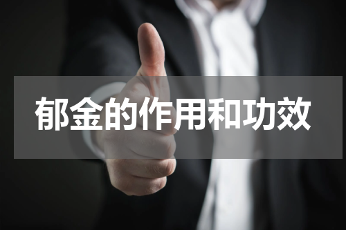 郁金的作用和功效