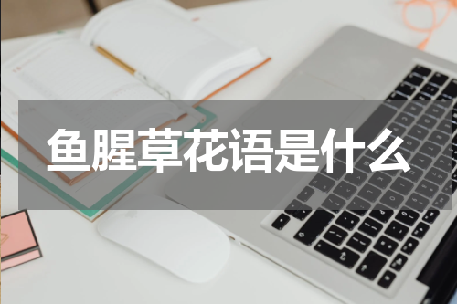 鱼腥草花语是什么