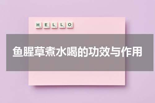 鱼腥草煮水喝的功效与作用