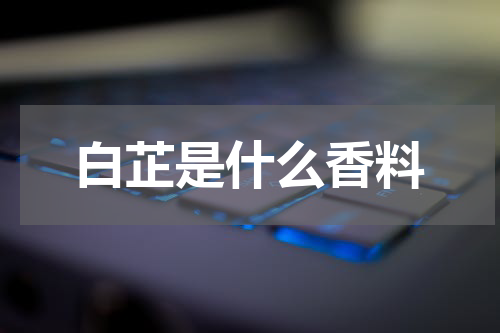 白芷是什么香料