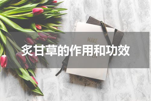 炙甘草的作用和功效