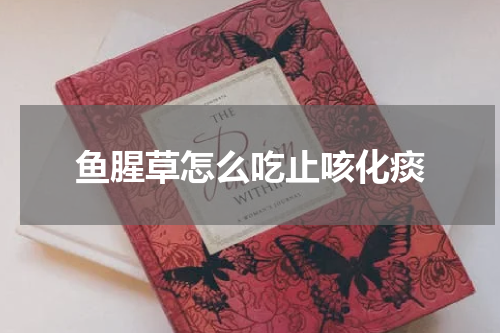 鱼腥草怎么吃止咳化痰