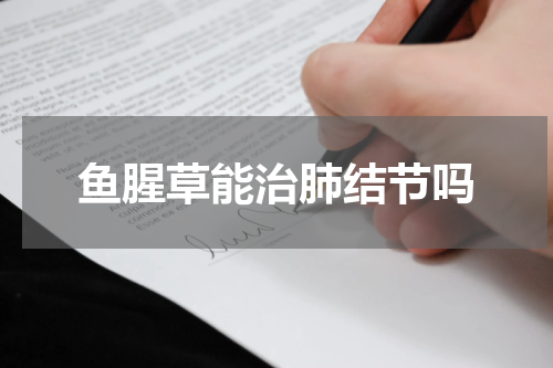 鱼腥草能治肺结节吗