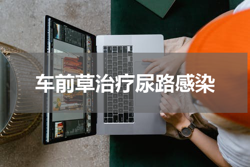 车前草治疗尿路感染