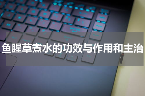 鱼腥草煮水的功效与作用和主治