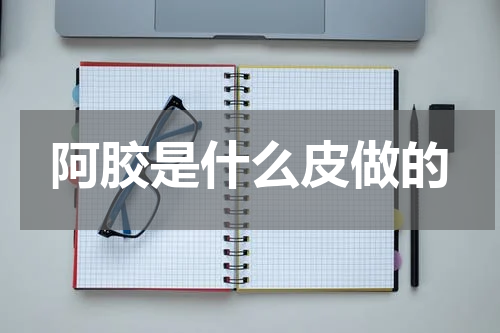 阿胶是什么皮做的