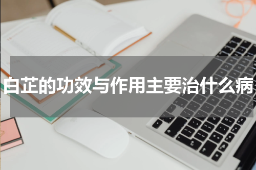 白芷的功效与作用主要治什么病