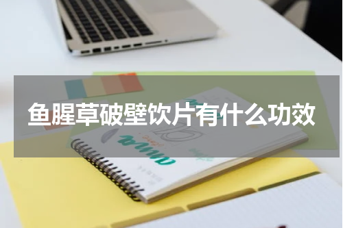 鱼腥草破壁饮片有什么功效