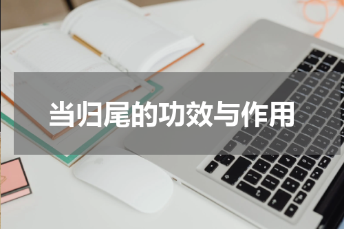 当归尾的功效与作用