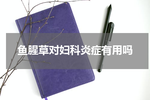 鱼腥草对妇科炎症有用吗