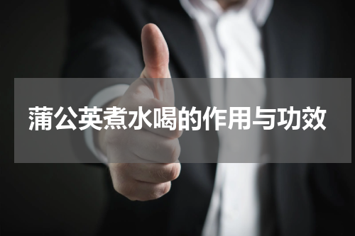 蒲公英煮水喝的作用与功效