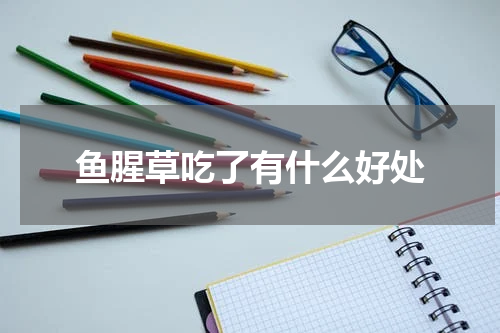 鱼腥草吃了有什么好处