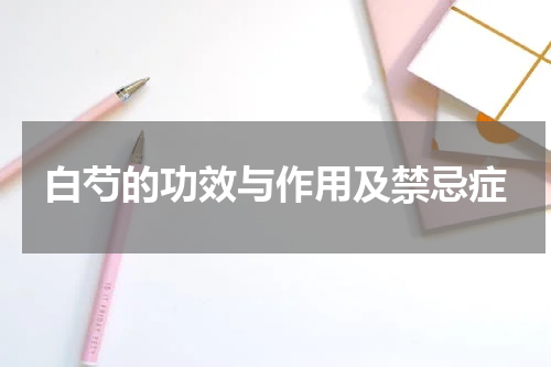 白芍的功效与作用及禁忌症