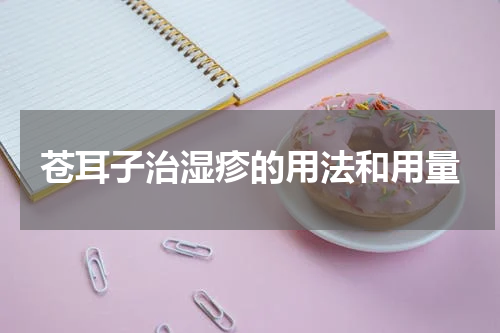 苍耳子治湿疹的用法和用量