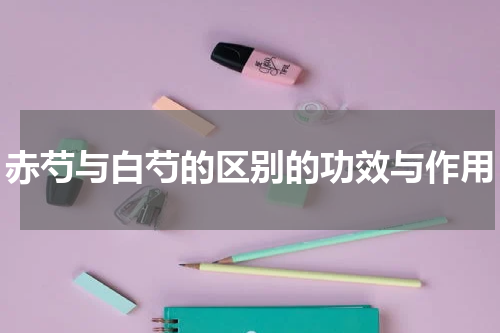 赤芍与白芍的区别的功效与作用