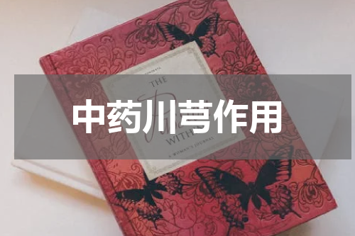 中药川芎作用