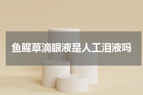 鱼腥草滴眼液是人工泪液吗