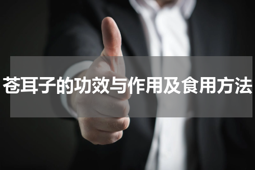 苍耳子的功效与作用及食用方法