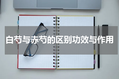 白芍与赤芍的区别功效与作用