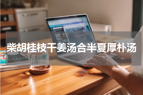 柴胡桂枝干姜汤合半夏厚朴汤