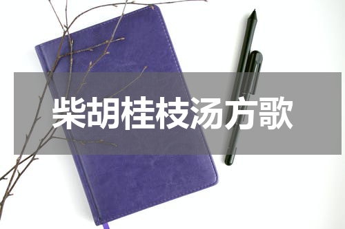 柴胡桂枝汤方歌