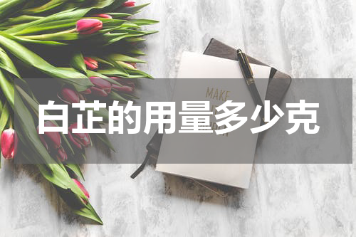 白芷的用量多少克