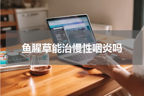 鱼腥草能治慢性咽炎吗