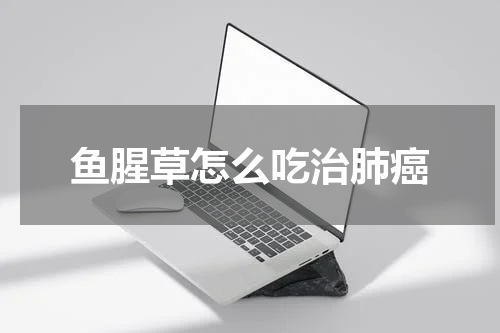 鱼腥草怎么吃治肺癌