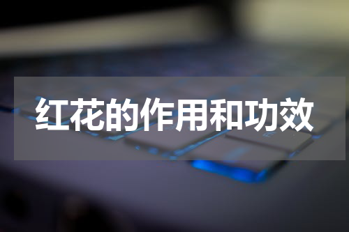 红花的作用和功效