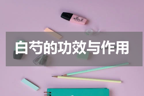 白芍的功效与作用