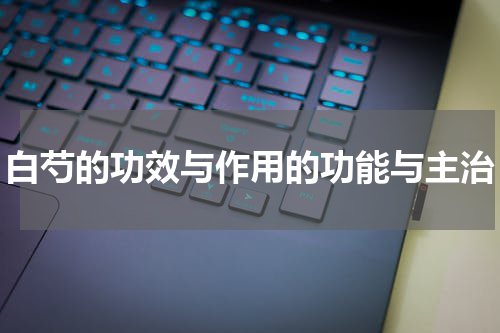白芍的功效与作用的功能与主治