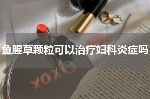 鱼腥草颗粒可以治疗妇科炎症吗