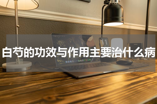 白芍的功效与作用主要治什么病
