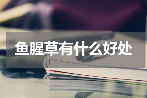 鱼腥草有什么好处
