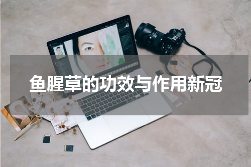 鱼腥草的功效与作用新冠