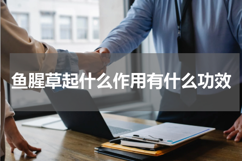 鱼腥草起什么作用有什么功效