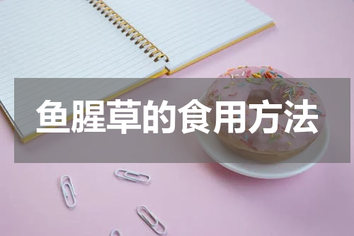 鱼腥草的食用方法