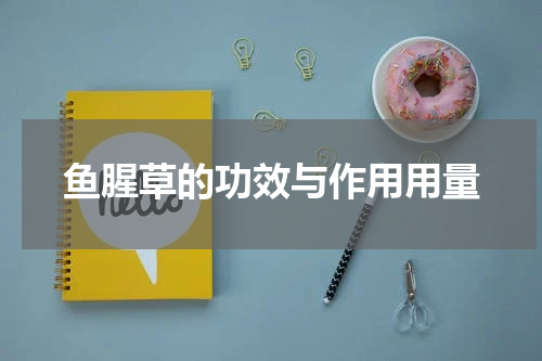 鱼腥草的功效与作用用量