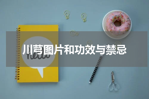川芎图片和功效与禁忌