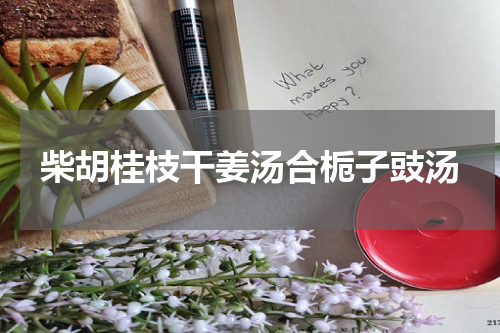 柴胡桂枝干姜汤合栀子豉汤