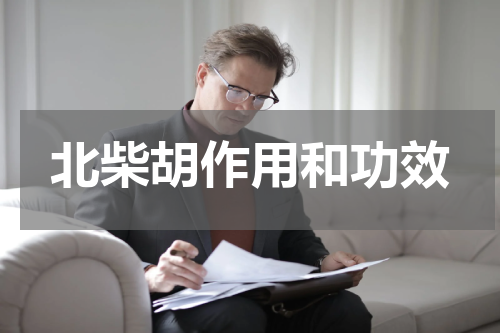 北柴胡作用和功效