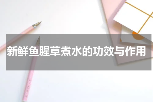 新鲜鱼腥草煮水的功效与作用