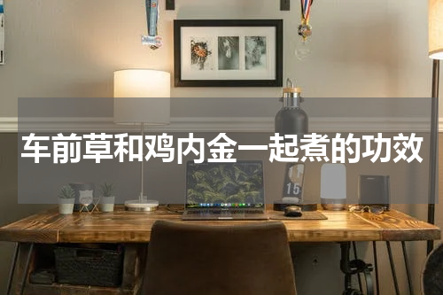 车前草和鸡内金一起煮的功效