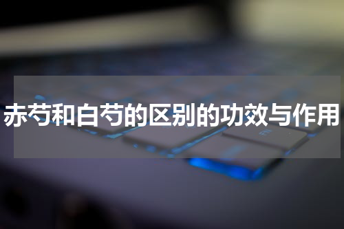赤芍和白芍的区别的功效与作用