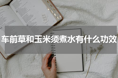 车前草和玉米须煮水有什么功效